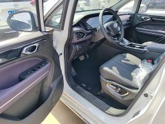 GAC Aion M6 2025 MAX 270T WDCT Luxury - ფოტო 12