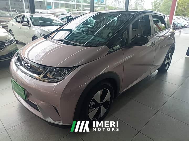 BYD Dolphin 420km Fashion Edition - ავტომობილი ჩინეთიდან
