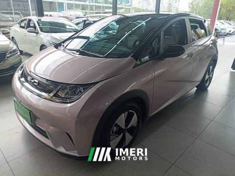 2023 BYD Dolphin 420km Fashion Edition - ავტომობილი ჩინეთიდან