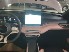 BYD Seagull 305km Vitality Edition - ფოტო 13