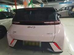 BYD Seagull 305km Vitality Edition - ფოტო 6