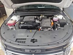 BYD Destroyer 05 2024 Glory Edition DM-i 55KM Luxury - ფოტო 20