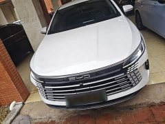 BYD Destroyer 05 2024 Glory Edition DM-i 55KM Luxury - ფოტო 3