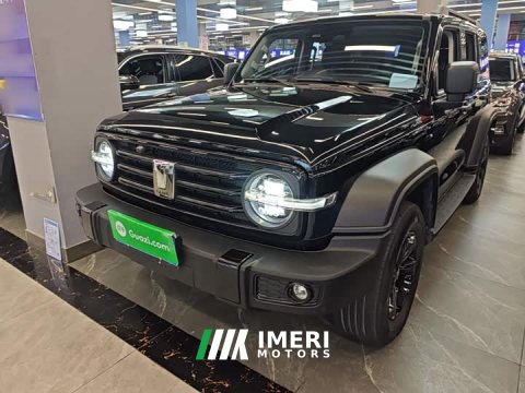 2023 Tank 300 Off-Road Edition 2.0T Challenger - ავტომობილი ჩინეთიდან