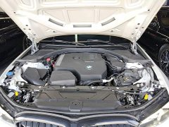 BMW 3 Series 330Li M Sport Night Edition Package - ფოტო 20