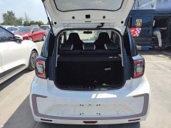 Flower Fairy Jimei Edition 302km Luxury - ფოტო 12