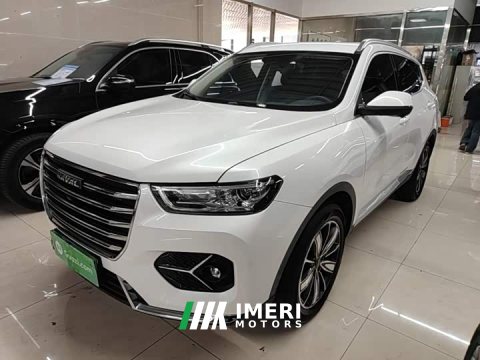 2021 Haval H6 1.5L Turbocharged Automatic Champion Edition - ავტომობილი ჩინეთიდან