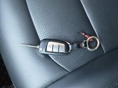 Geely Emgrand 2020 Facelift 1.5L Manual Asian Games Edition - ფოტო 9