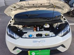 BYD Seagull 2023 Vitality Edition - ფოტო 20