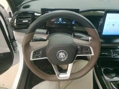 BYD Qin PLUS 2024 Glory Edition DM-i 55KM Leading - ფოტო 7