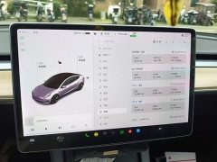 Tesla Model 3 Facelift Standard Range RWD Upgrade 3D1 - ფოტო 12