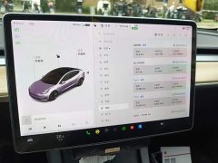 Tesla Model 3 Facelift Standard Range RWD Upgrade 3D1 - ფოტო 13