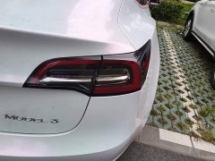 Tesla Model 3 Facelift Standard Range RWD Upgrade 3D1 - ფოტო 8