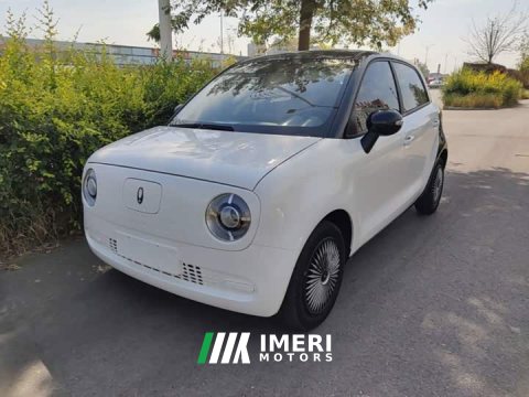2021 Ora Black Cat 2022 301km Base Ternary Lithium - ავტომობილი ჩინეთიდან