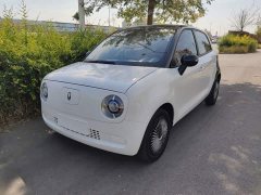 Ora Black Cat 2022 301km Base Ternary Lithium - ფოტო 2