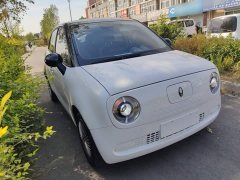 Ora Black Cat 2022 301km Base Ternary Lithium - ფოტო 4