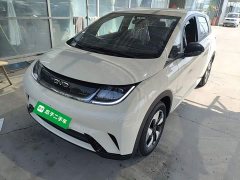 BYD Dolphin 2025 420km Freedom Edition - ფოტო 1