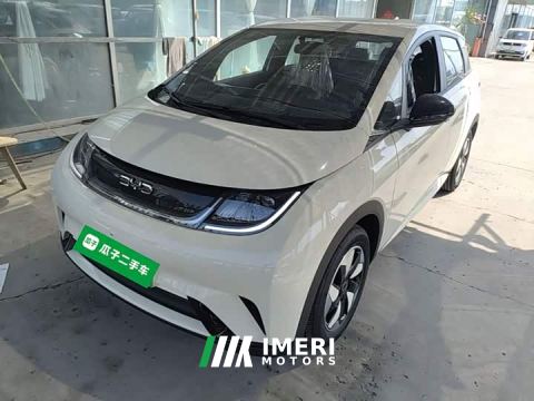 2026 BYD Dolphin 420km Freedom Edition