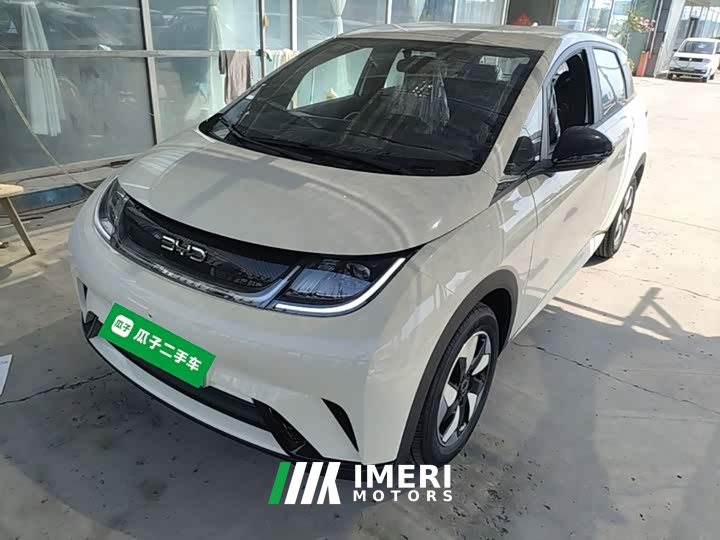 BYD Dolphin 420km Freedom Edition