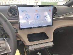 BYD Dolphin 2025 420km Freedom Edition - ფოტო 13