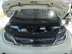 BYD Dolphin 2025 420km Freedom Edition - ფოტო 20