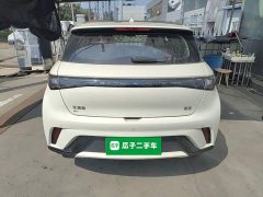 BYD Dolphin 2025 420km Freedom Edition - ფოტო 6