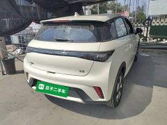 BYD Dolphin 2025 420km Freedom Edition - ფოტო 7