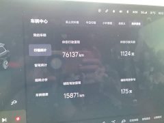 Li Auto L9 Pro - ფოტო 12