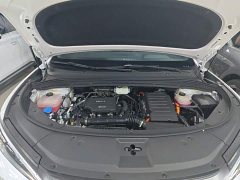 BYD Song L DM-i Smart Driving Edition 112km Leading - ფოტო 20