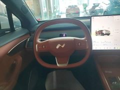 Nio Lerado L60 2025 60kWh Rear-Wheel Drive - ფოტო 11