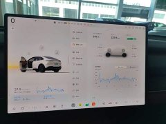 Nio Lerado L60 2025 60kWh Rear-Wheel Drive - ფოტო 12