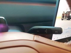 Nio Lerado L60 2025 60kWh Rear-Wheel Drive - ფოტო 14