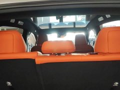 Nio Lerado L60 2025 60kWh Rear-Wheel Drive - ფოტო 18