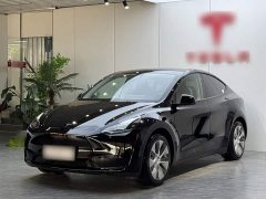 Tesla Model Y Rear-Wheel Drive - ფოტო 1