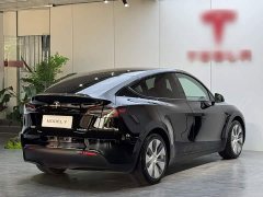 Tesla Model Y Rear-Wheel Drive - ფოტო 5