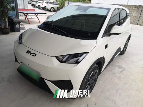 2025 BYD Seagull Smart Driving Edition 305km Freedom Edition