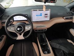 BYD Seagull Smart Driving Edition 305km Freedom Edition - ფოტო 10