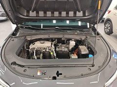 SAIC MG D6 450km Deluxe Edition - ფოტო 20