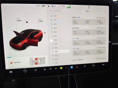Tesla Model Y Long Range All-Wheel Drive - ფოტო 12