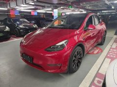 Tesla Model Y Long Range All-Wheel Drive - ფოტო 2