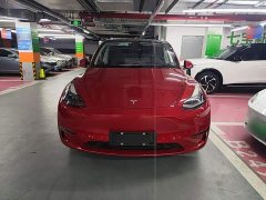 Tesla Model Y Long Range All-Wheel Drive - ფოტო 3