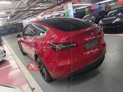 Tesla Model Y Long Range All-Wheel Drive - ფოტო 5