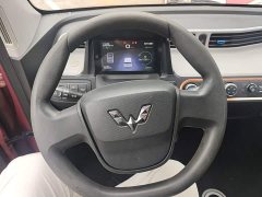 Wuling Hongguang MINIEV 2020 Deluxe Edition LFP Battery - ფოტო 11