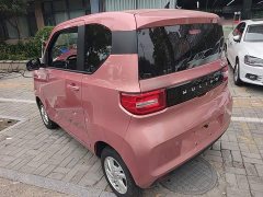 Wuling Hongguang MINIEV 2020 Deluxe Edition LFP Battery - ფოტო 5