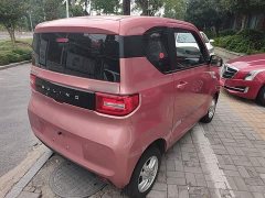 Wuling Hongguang MINIEV 2020 Deluxe Edition LFP Battery - ფოტო 7