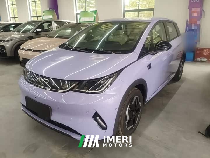 BYD Dolphin Smart Drive 420km Freedom Edition