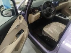 BYD Dolphin 2025 Smart Drive 420km Freedom Edition - ფოტო 16