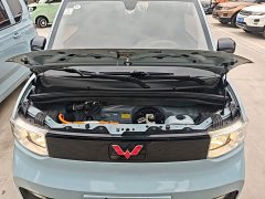 Wuling Hongguang MINIEV 2020 Zizai Edition LFP Battery - ფოტო 20
