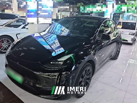 2022 Tesla Model Y 2021 Standard Range RWD - ავტომობილი ჩინეთიდან