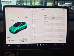 Tesla Model Y 2021 Standard Range RWD - ფოტო 12